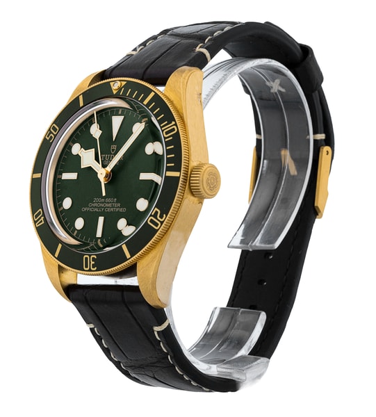 Tudor Black Bay 58 M79018V-0001